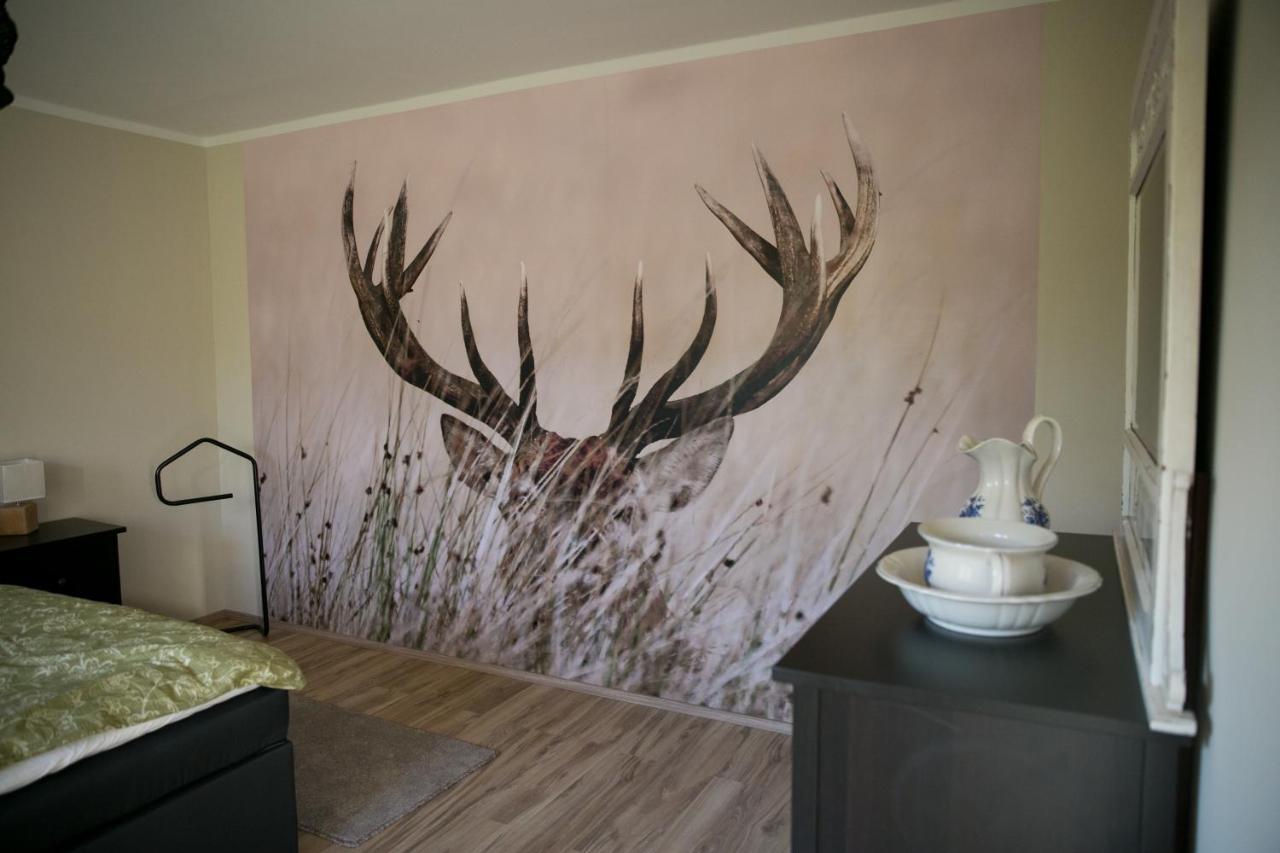 Mcdreyer Ferienwohnung Dedelstorf 외부 사진